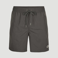 Short Vert Swim | Asphalt - A