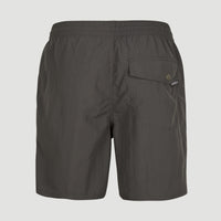 Short Vert Swim | Asphalt - A