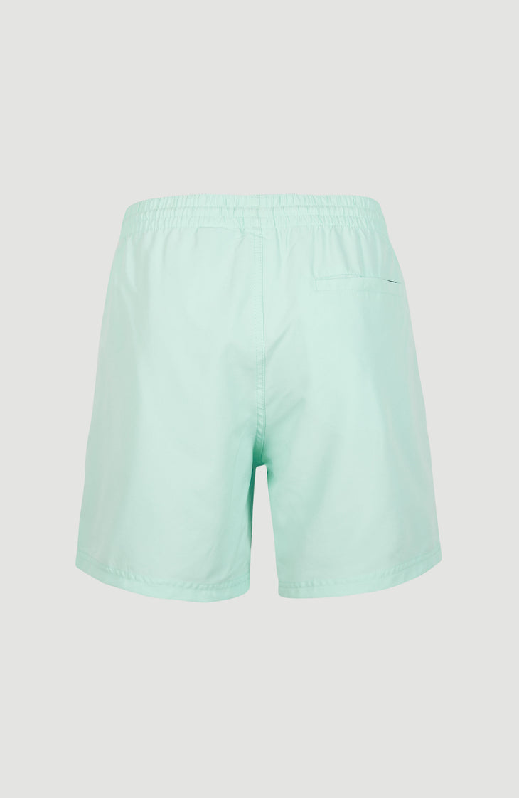 Short De Bain Cali | Beach Glass