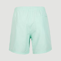 Short De Bain Cali | Beach Glass
