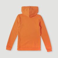 Sweat Cube | Puffin's Bill