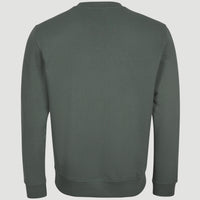 Sweat Circle Surfer Crew | Balsam Green