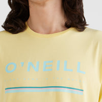 Tee-Shirt Arrowhead | Sundress