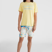 Tee-Shirt Arrowhead | Sundress