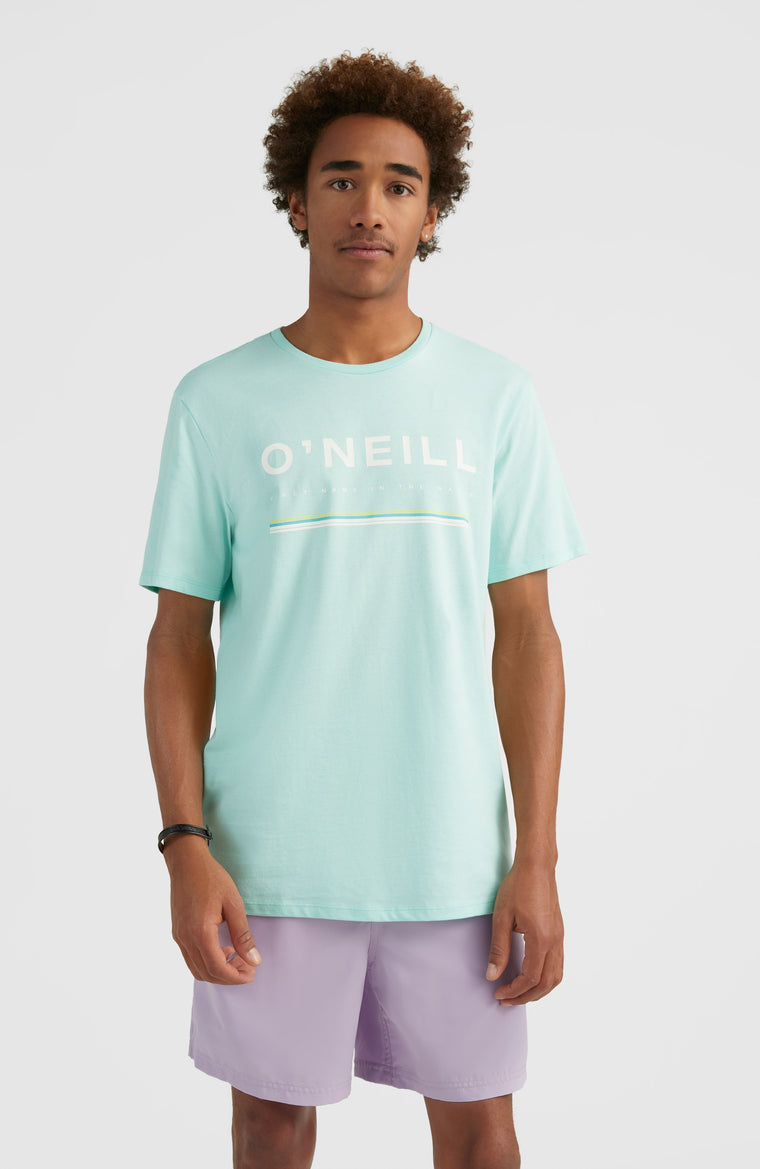 Tee-Shirt Arrowhead | Beach Glass