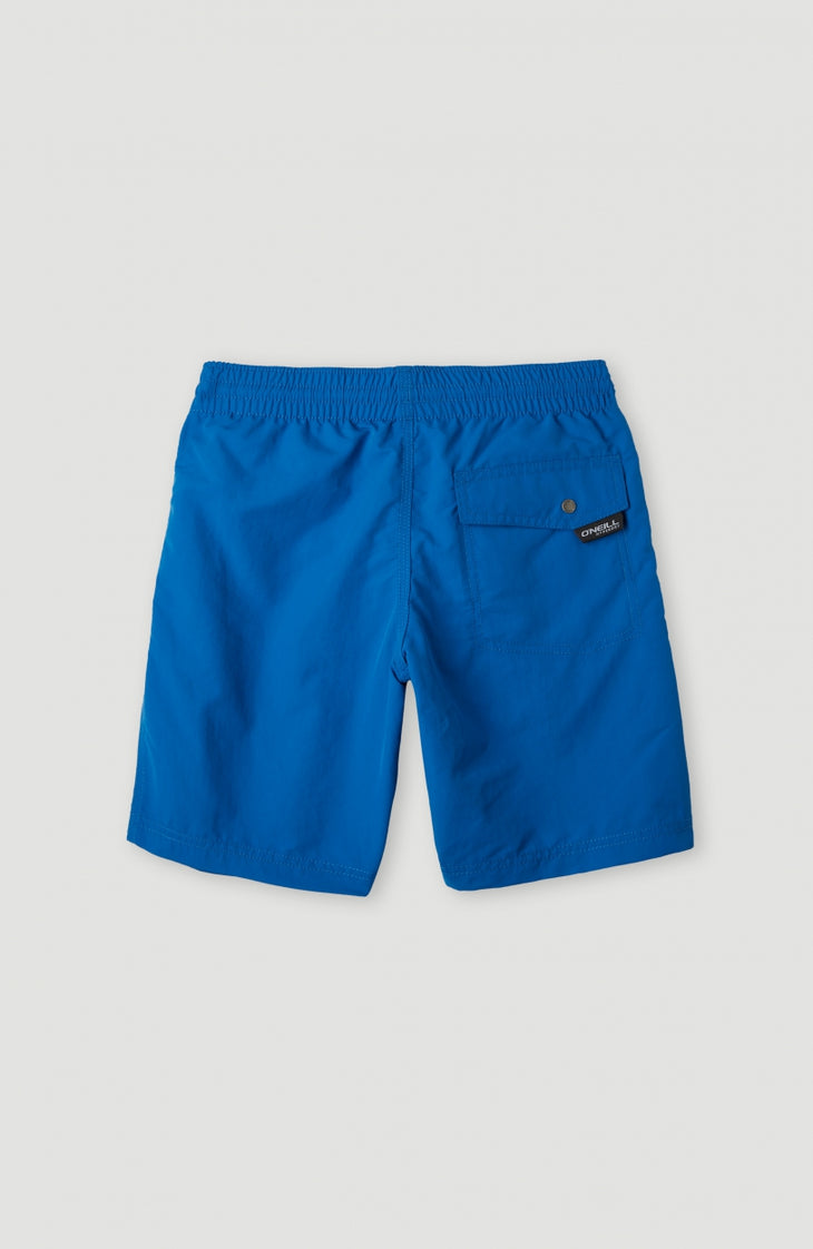 Short De Bain Vert | Victoria Blue