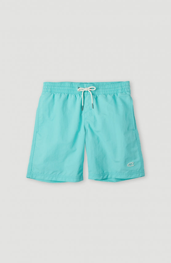 Short De Bain Vert | Aqua Spalsh