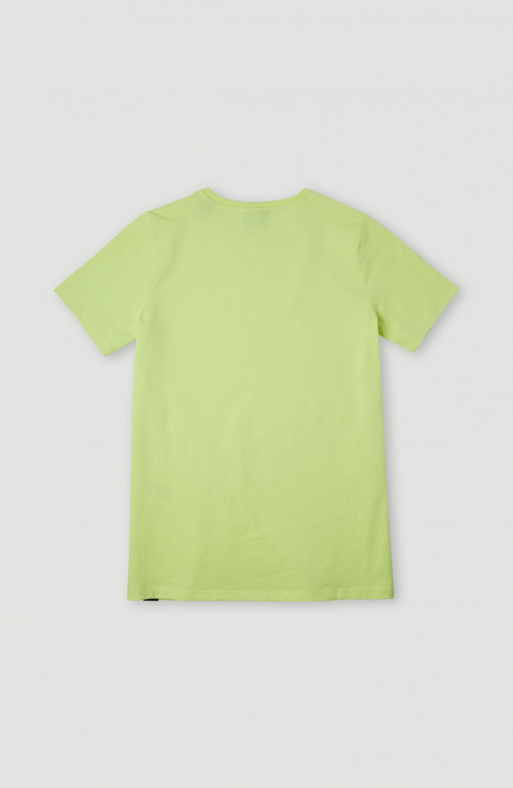 Tee-Shirt Circle Surfer | Sunny Lime