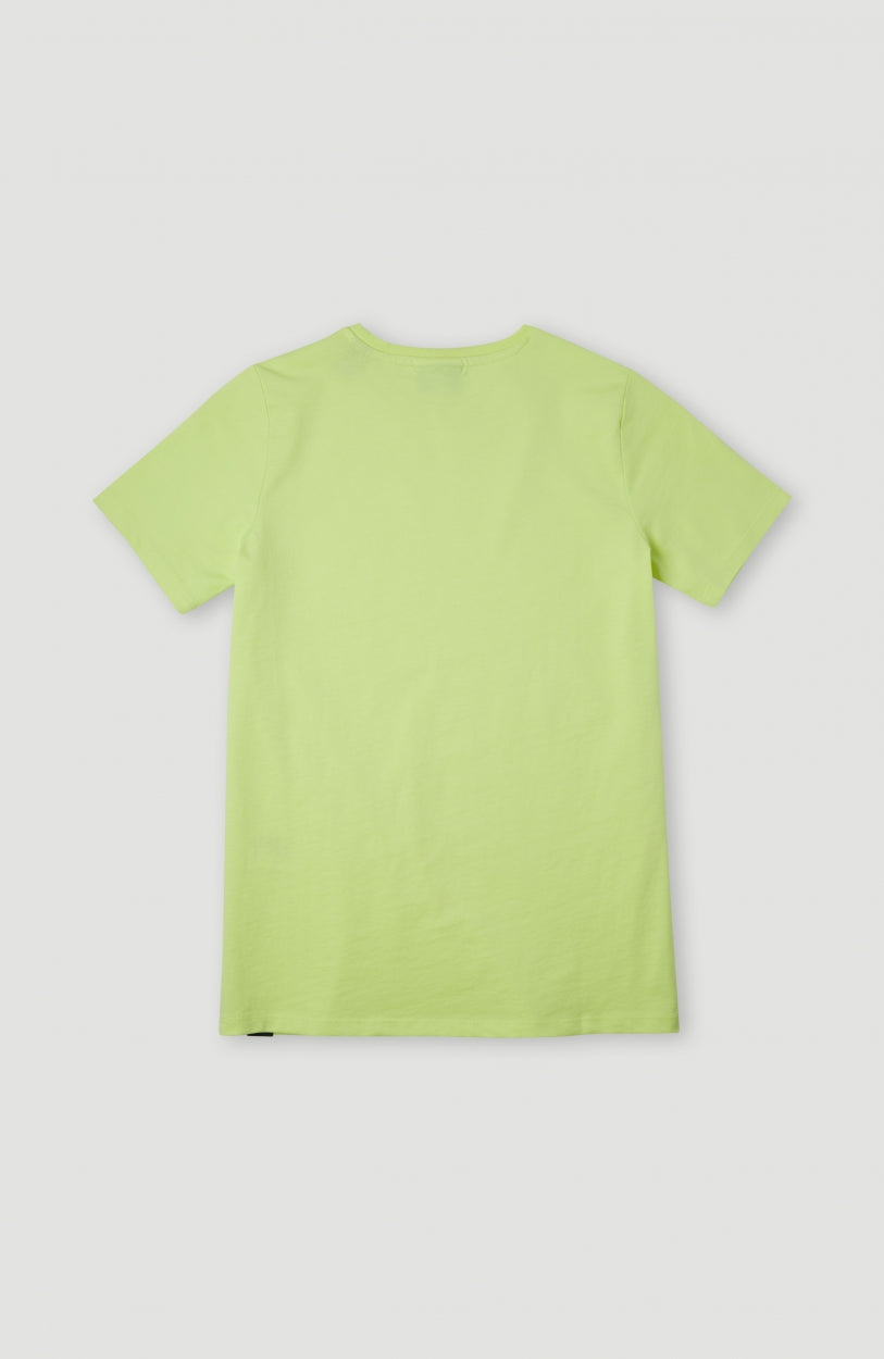 Tee-Shirt Circle Surfer | Sunny Lime