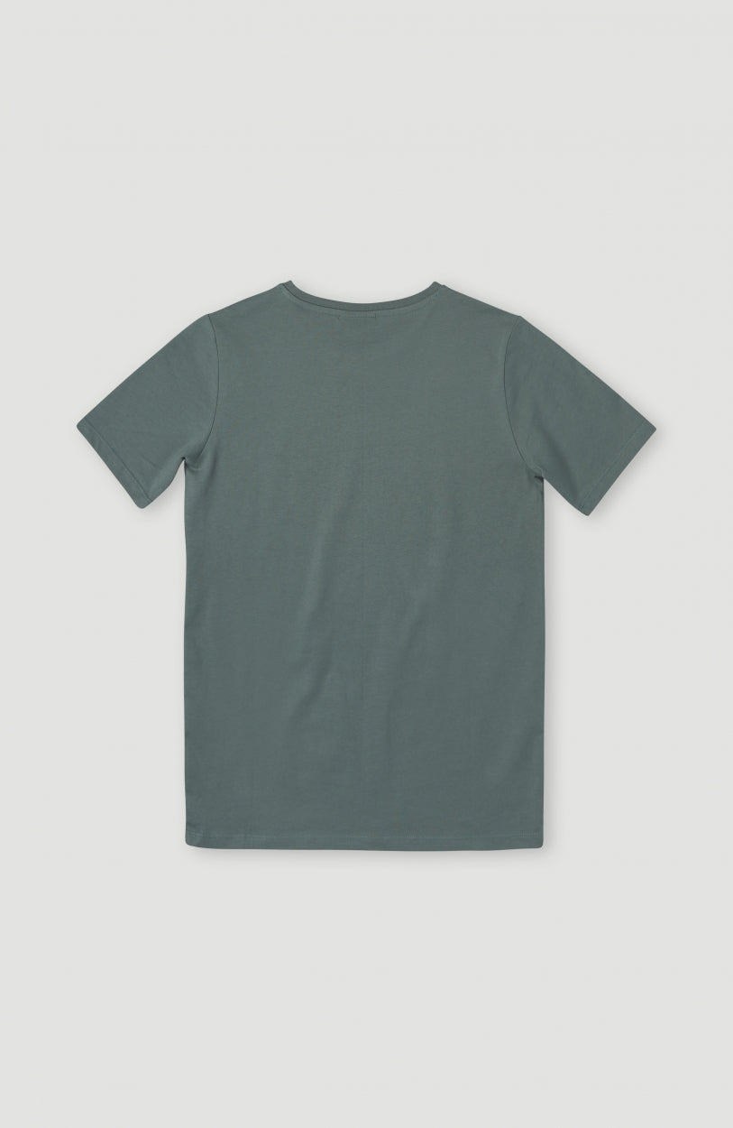 Tee-Shirt Circle Surfer | Balsam Green